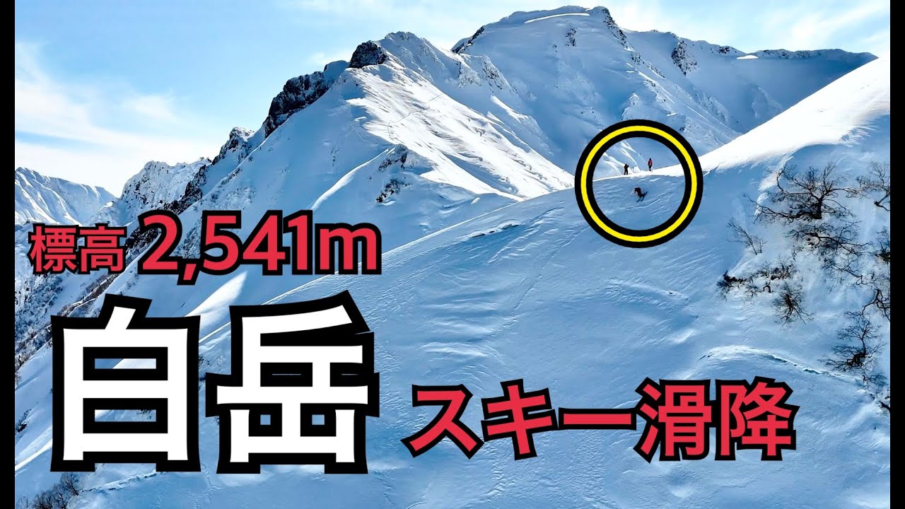 【白馬のバックカントリー、標高2,541m 白岳編】2025年3月10日撮影 #freeski  #backcountryskiing  #hakuba  #japow