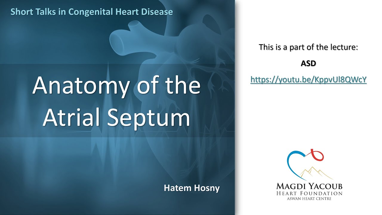 Anatomy of the Atrial Septum - Hatem Hosny