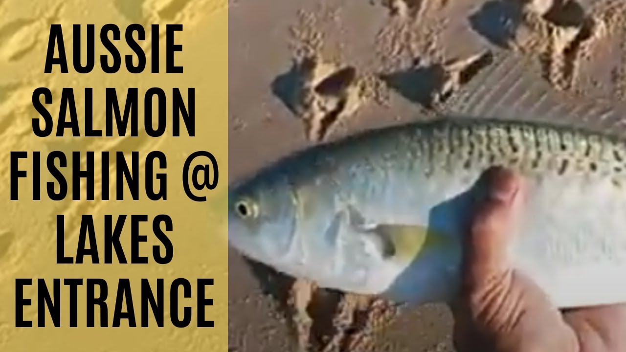 Salmon Fishing (Undercurrent) @ Lakes Entrance, East Gippsland, VIC
