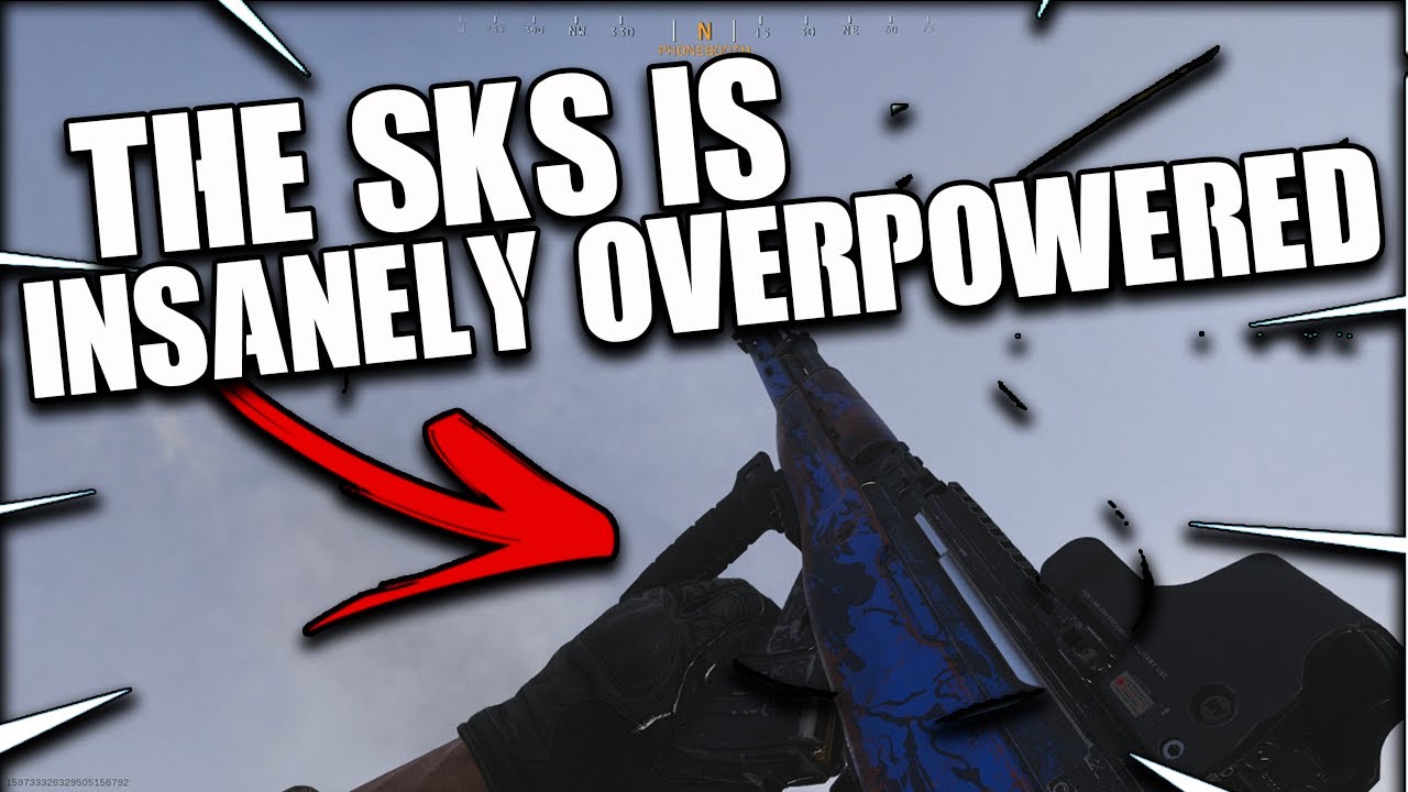 This SKS Class Setup Melts in Modern Warfare