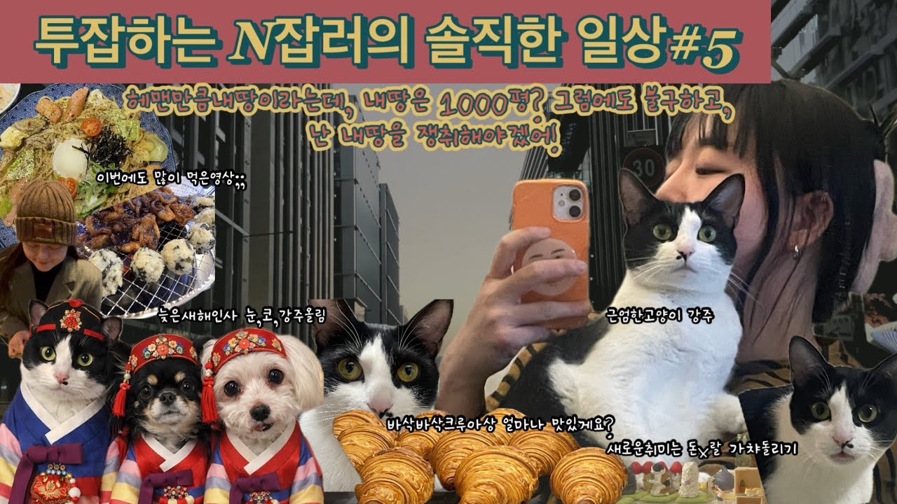 헤맨만큼내땅이라는데,내땅은1000평?그럼에도불구하고난내땅을쟁취하겠어! 투잡하는N잡러의솔직한일살#5 #빵스타그램#N잡#팜스테드#파티세리소나#고양이#고양이일상#강아지일상 