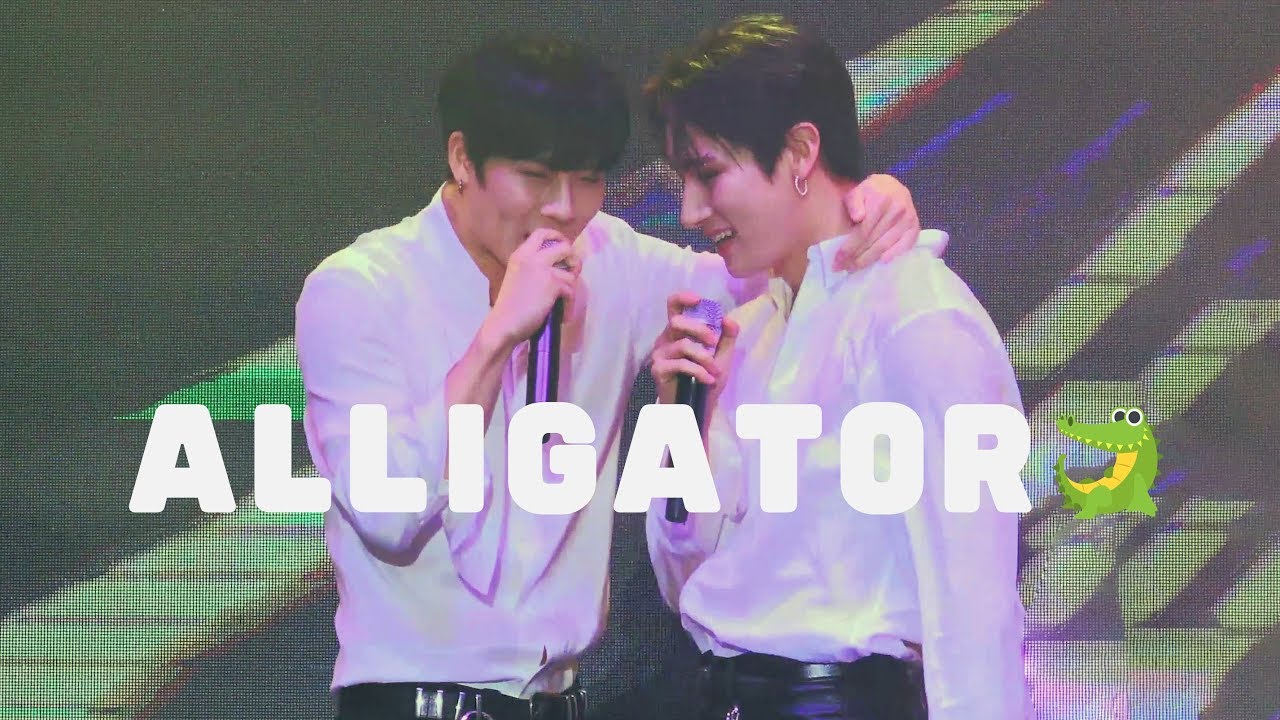 [몬스타엑스 아이엠] 190519 Alligator  🐊