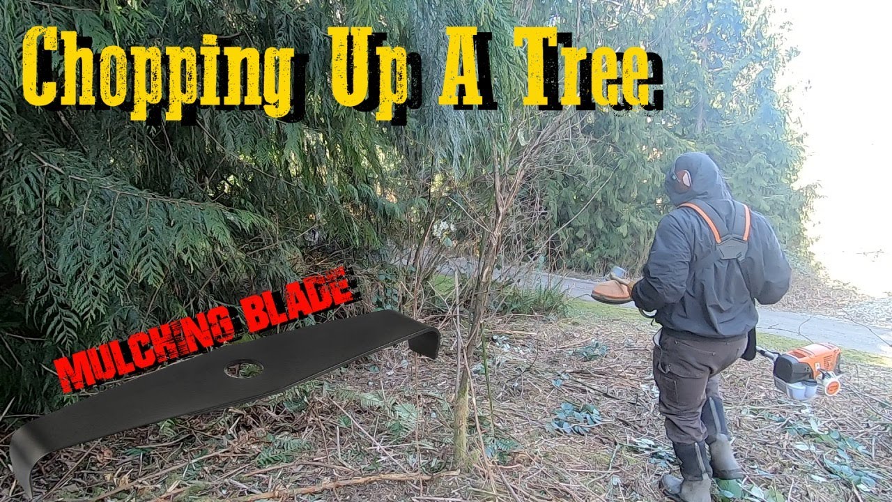 BG Tool Mulching Blade vs Tree & Branches | Stihl FS-131 #BrushCutter #Landscaping