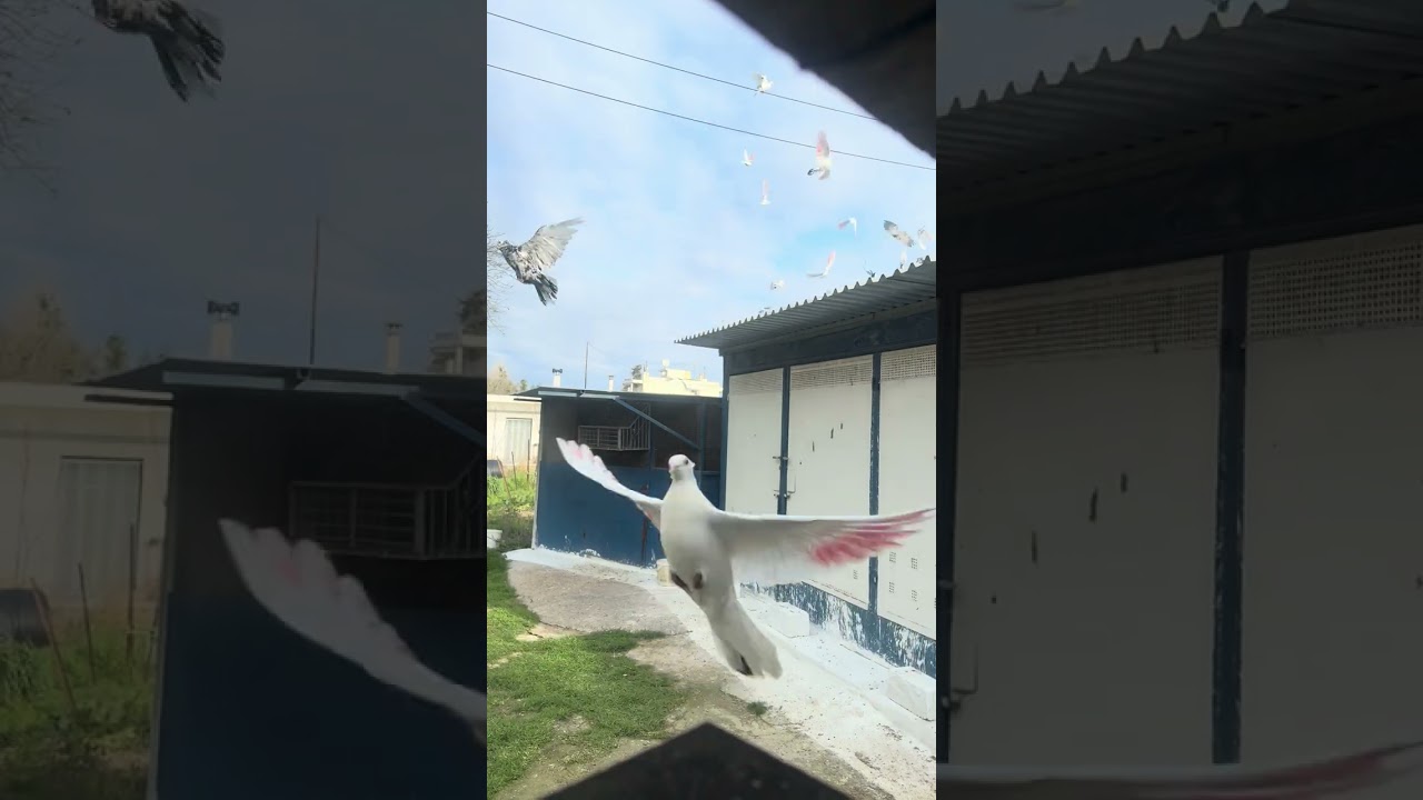 Πιανόμαστε!!!