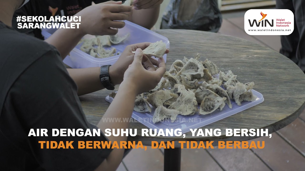 0812 2511 1796 - Cara Membersihkan Sarang Walet Dari Bulu Dan Kotoran