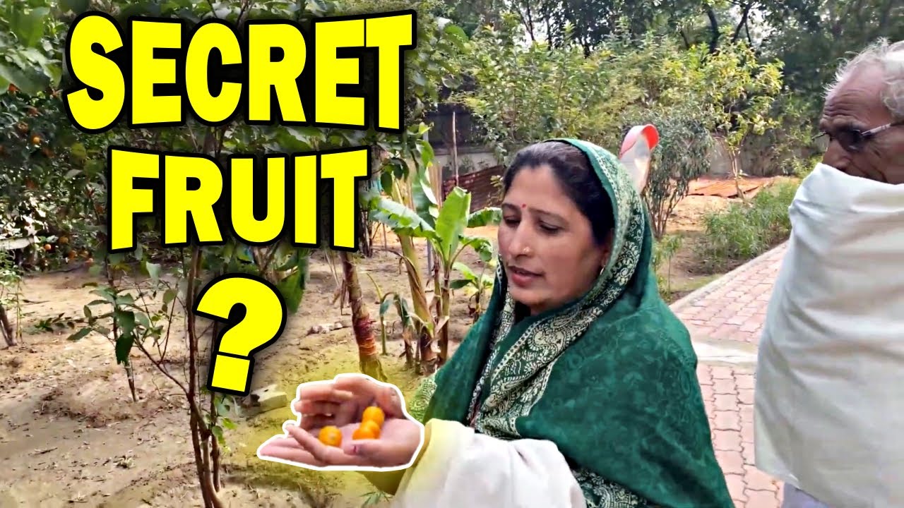 Ye Konsa Fruit Tod Liya Mummy Ne 😅