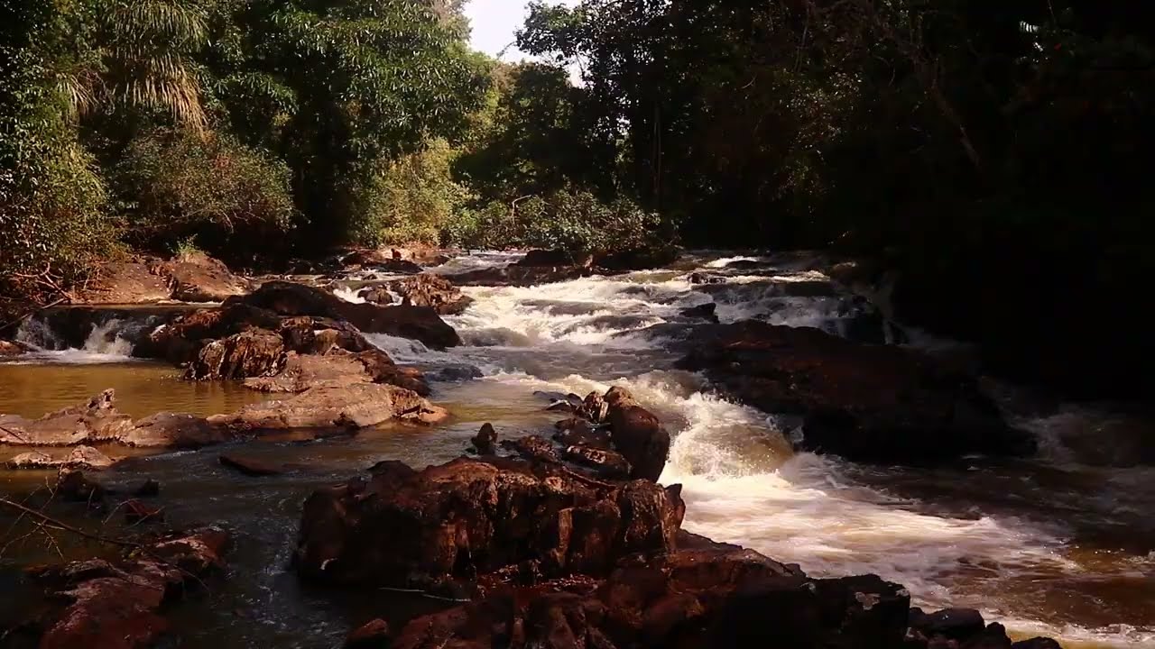 Yala River Scene