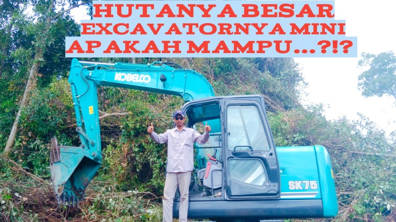 Apa Jadinya Jika Excavator Mini Ketemu Dengan Lahan Hutan Rimba