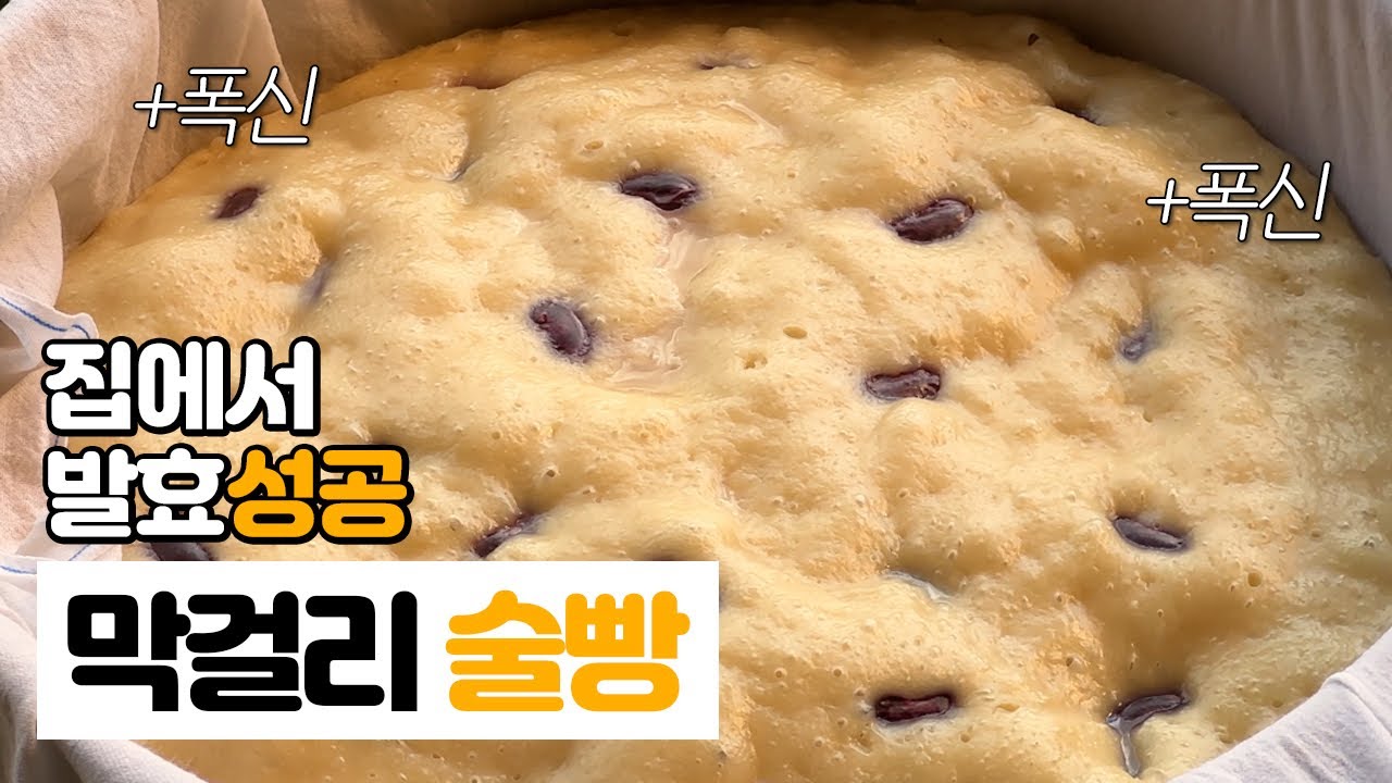 [발효 꿀팁] No이스트, 막걸리 술빵 | 집에서 성공하는 법