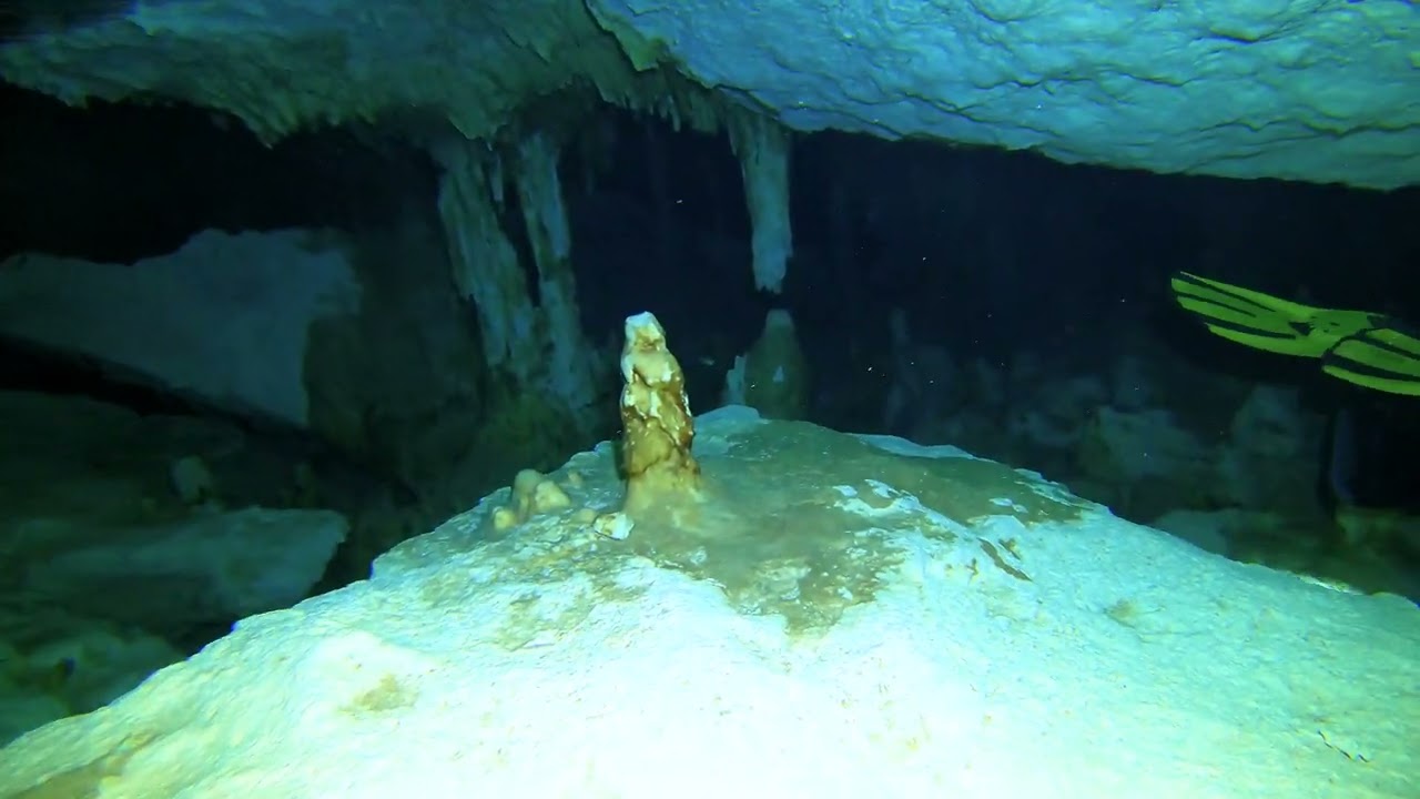 Mergulho nos Cenotes Tak Be Luum, Tak Be Ha e Casa Cenote