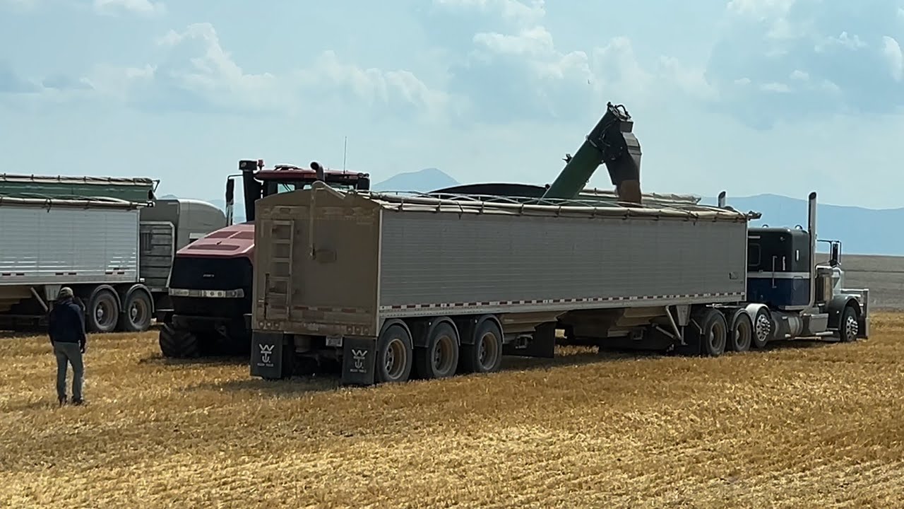 Day 24 (8/15) - Highwood, Montana Harvest