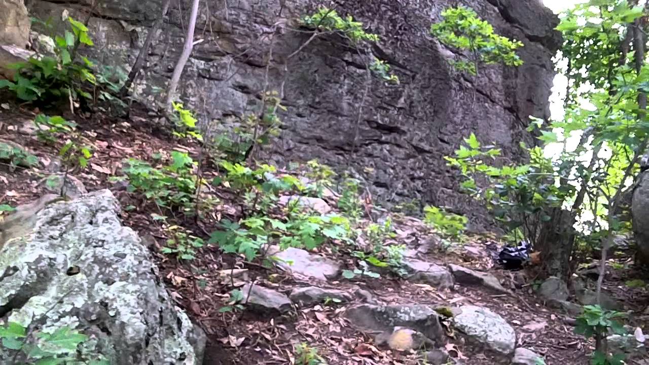 Pike co KY Long Fork 2014