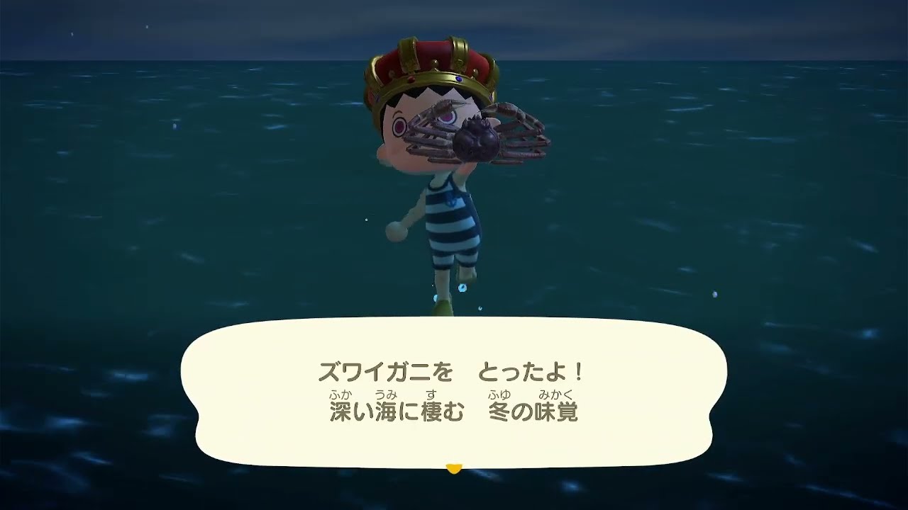 【あつまれどうぶつの森】雪が降る真冬の中海の幸を獲りまくる　うぅ寒そう