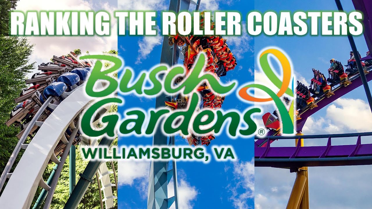 Ranking The Roller Coasters At Busch Gardens Williamsburg