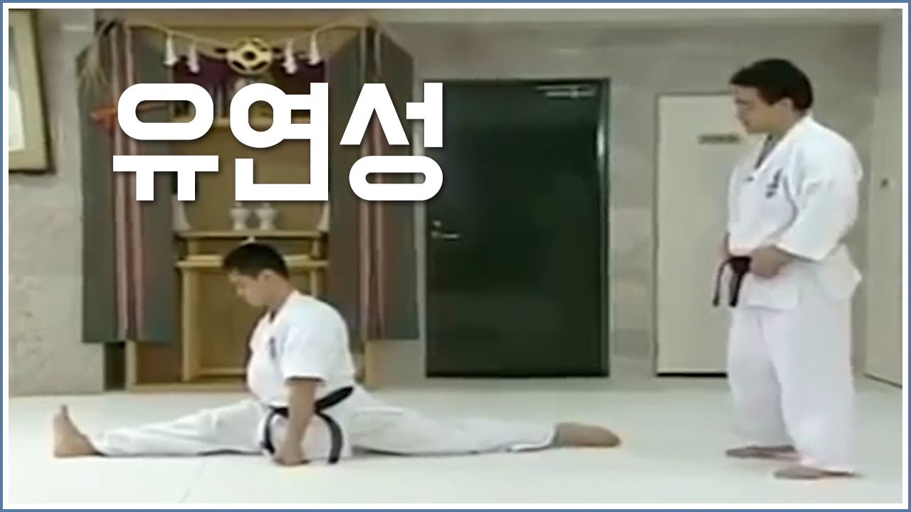 극진가라데 유연성 심사