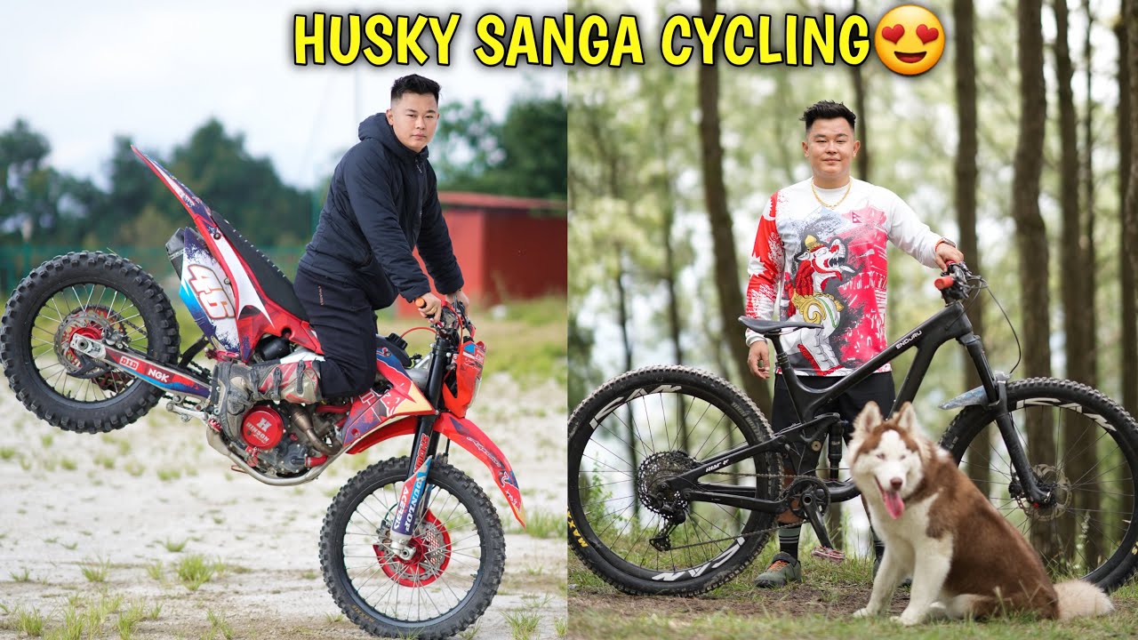 SAPANA PURA BHAYO😍 HUSKY LAI CYCLING LANEY / SIBERIAN HUSKY / ​⁠@rajkumarthapamagar32