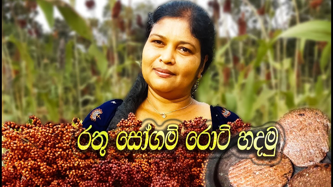 රතු සෝගම් රොටි රහට හදමු