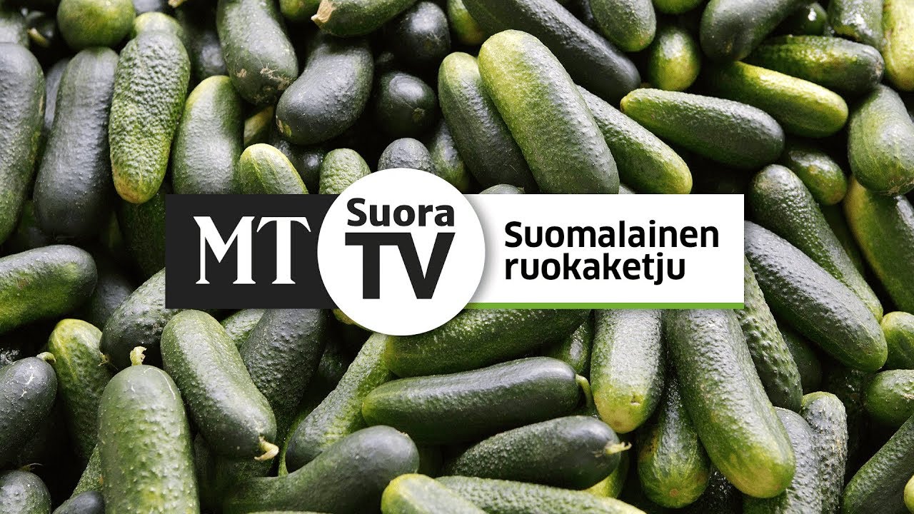 Hyvää Suomesta -juhlaseminaari