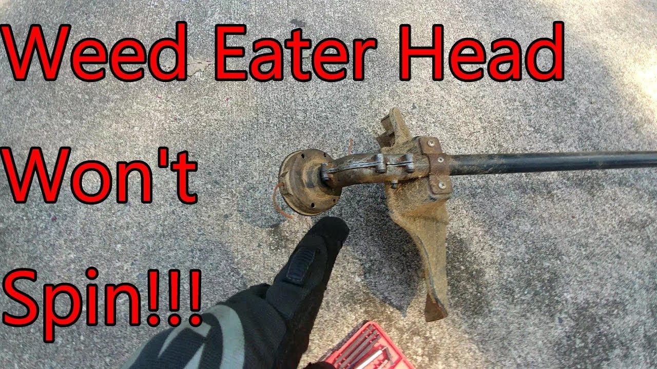 Как починить Weed Eater, если голова не кружится