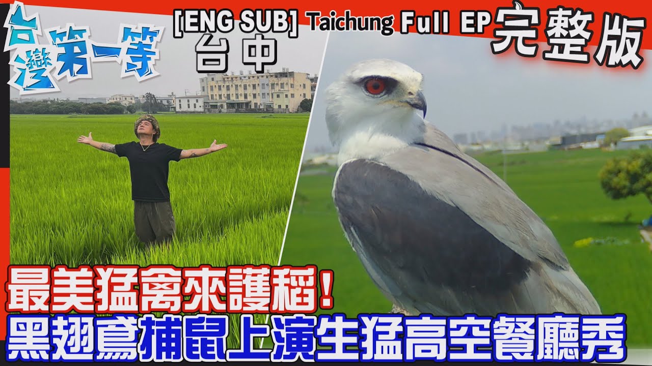 [全新] 台中【