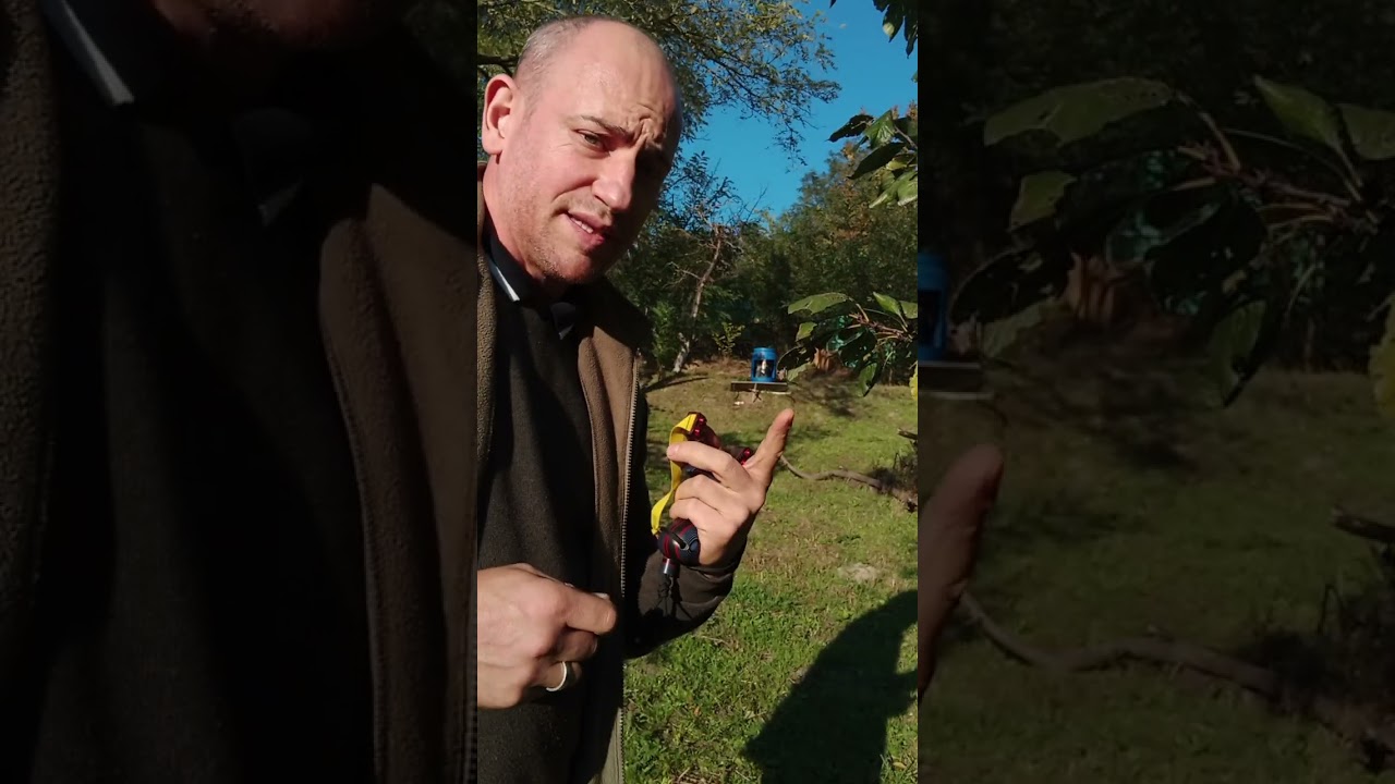 Shooting the S-Robin and S-scops