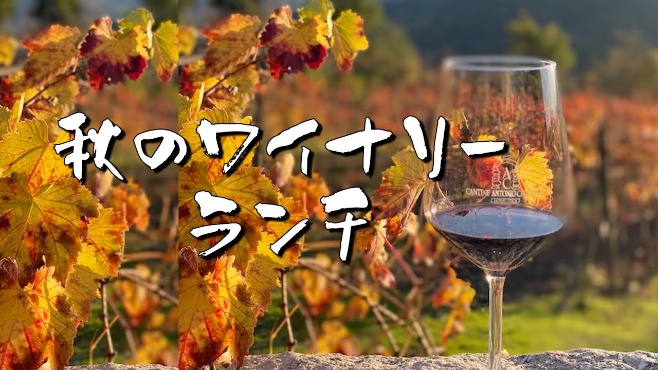 【ワイナリー】ワイナリー博物館 & アーティスト  Antonio Caggiano 🍇  タウラージ de ランチ 🍷