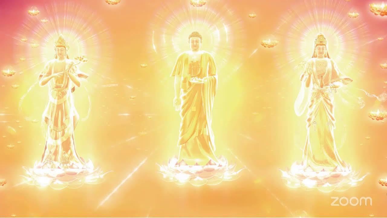 Daily Nianfo Meditation