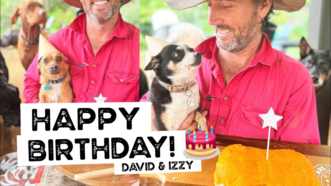 Happy Birthday David & Izzy, Miss Red & Miss Violet receive a Package, Gilbert is on a Mission