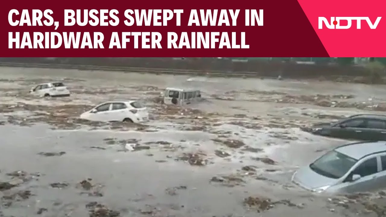 Haridwar Latest News Today | Cars, Buses Swept Away By Strong Currents In Haridwar After Rainfall