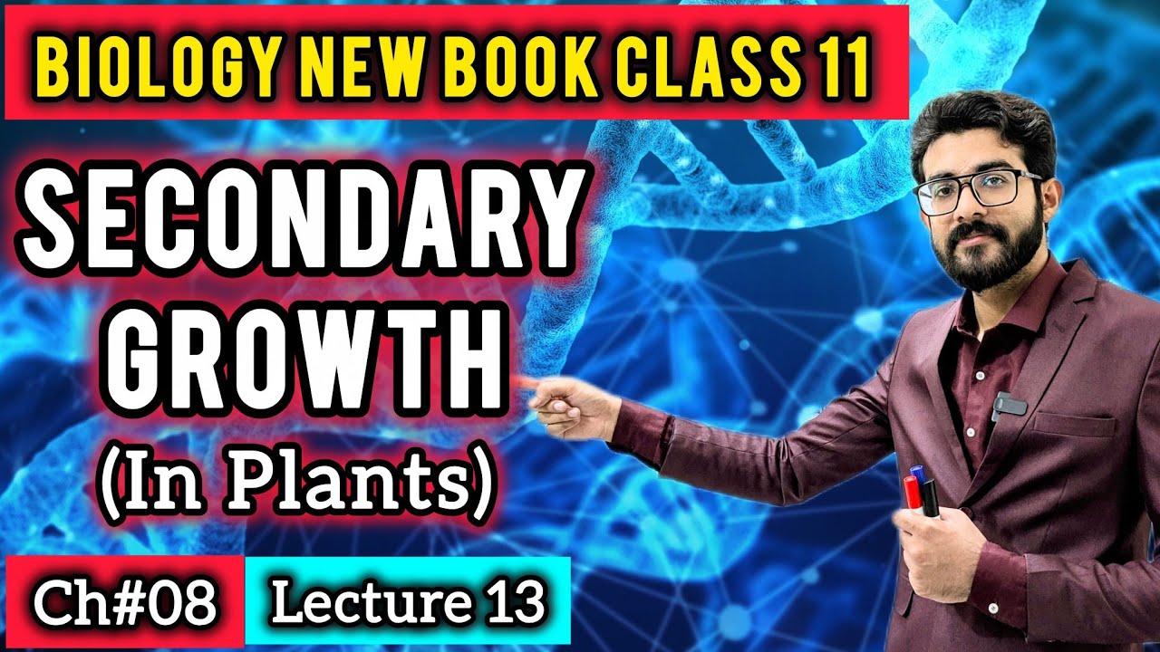 Secondary Growth in Plants Class 11 | Vascular & Cork Cambium | Biology New Book