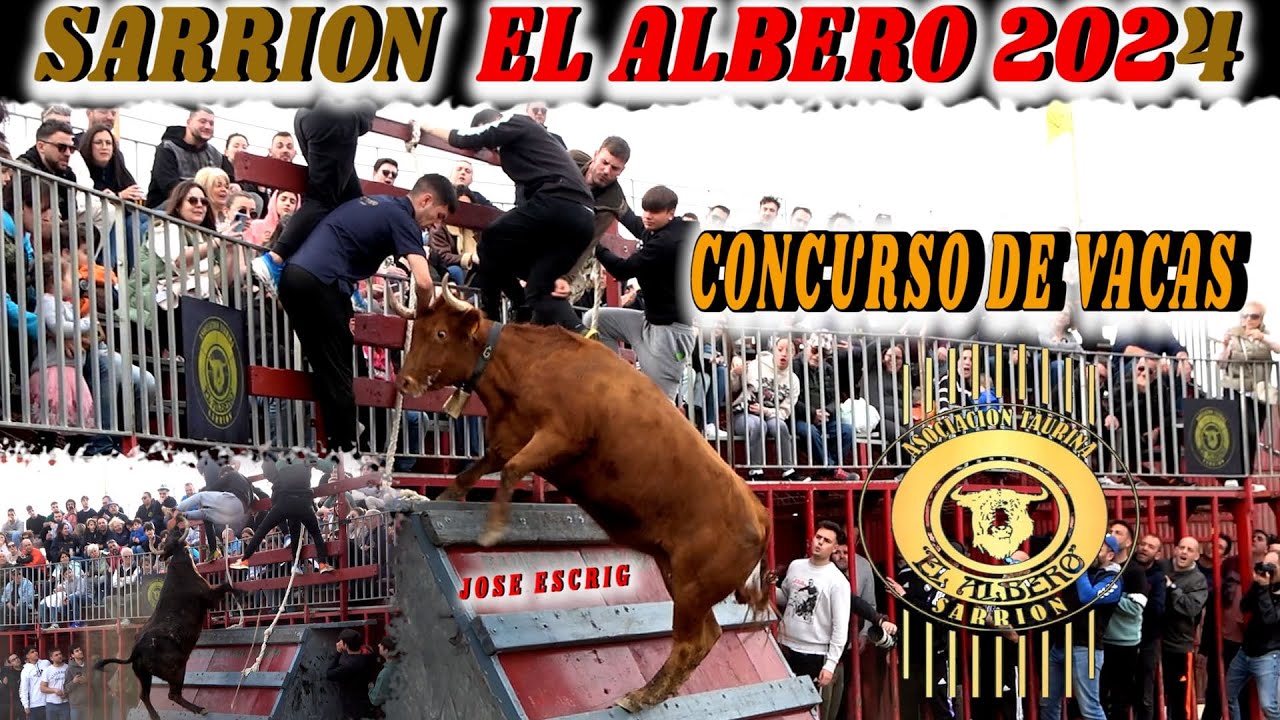 🔝💯SARRION CONCURSO DE VACAS 24