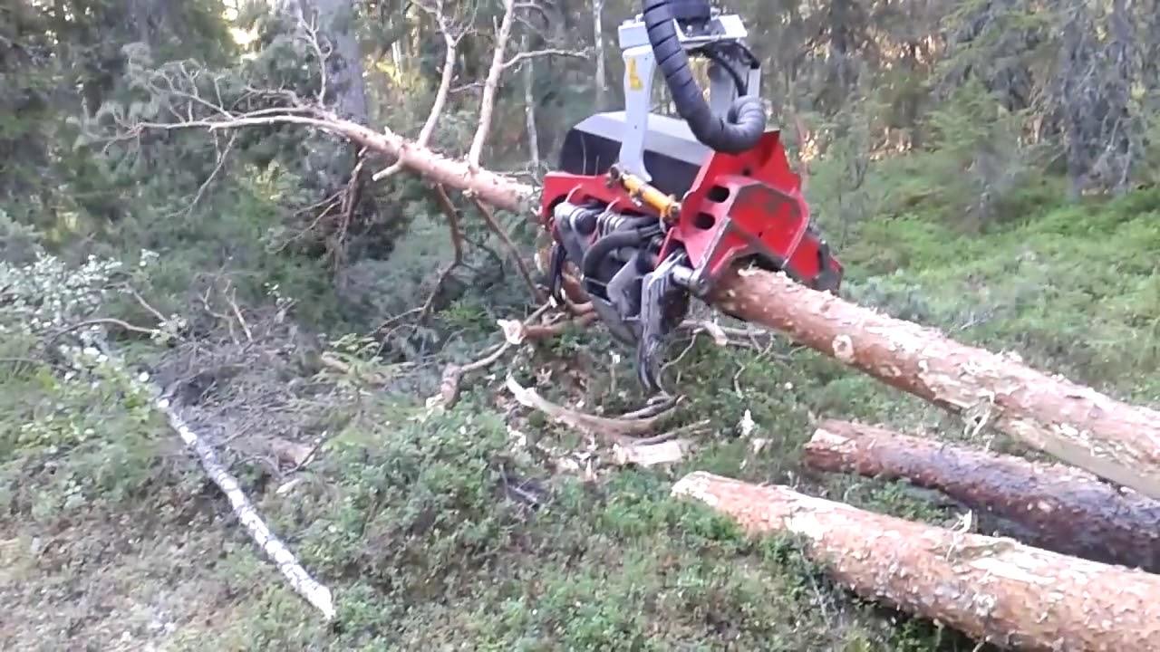 Nisula N5 avohakkuuta