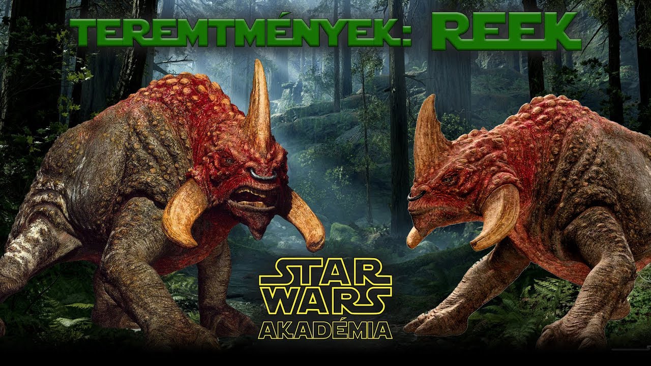 Teremtm&eacute;nyek: Reek | Star Wars Akad&eacute;mia