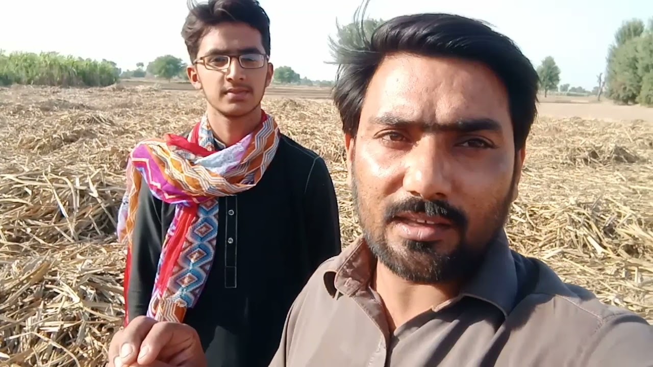 Dasi Mahol  OR Taza Rass