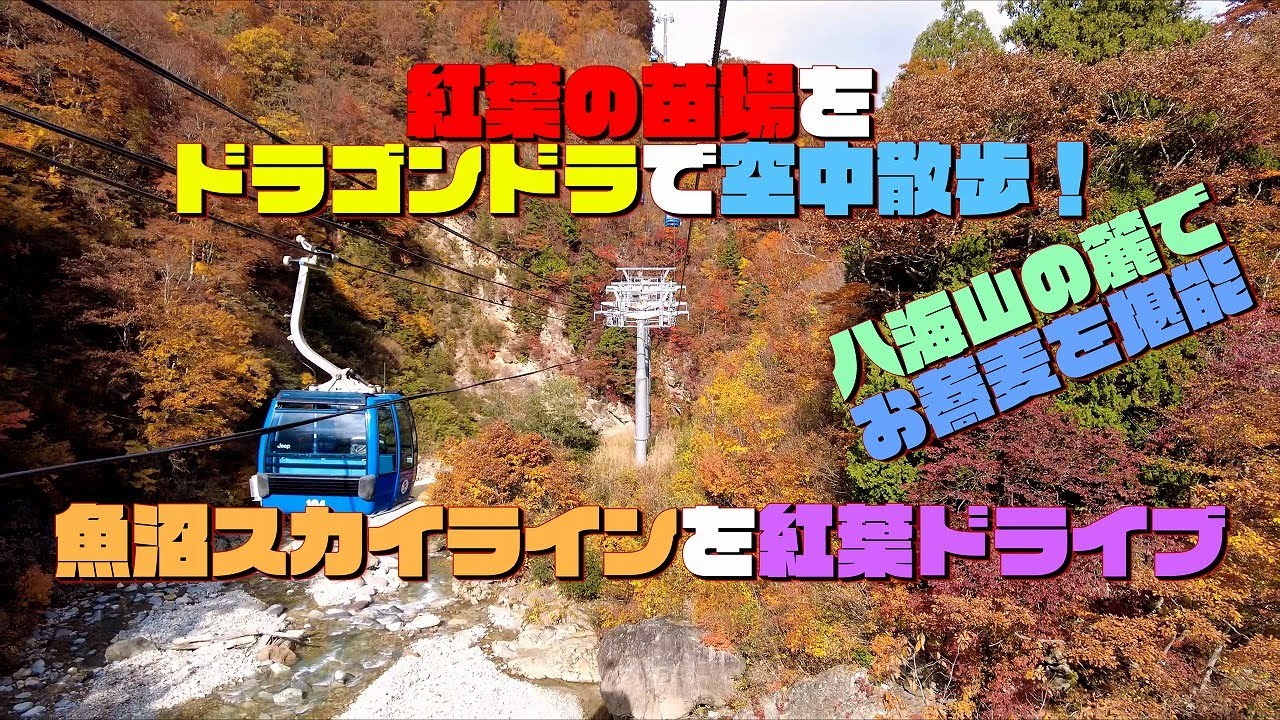 【新潟】紅葉の苗場の絶景をドラゴンドラで空中散歩！ 魚沼スカイラインを紅葉ドライブ！ 八海山の麓でお蕎麦を堪能！！【紅葉2021】 #紅葉見にいこうよう #苗場 #ドラゴンドラ #魚沼スカイライン