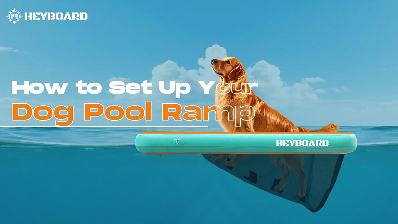 How to Set Up Your HEYBOARD Inflatable Dog Dock | Easy Installation Guide