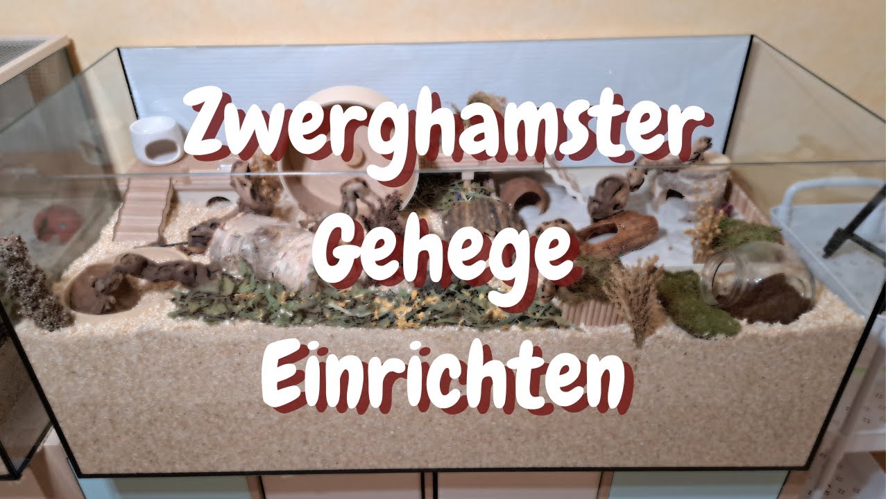 Zwerghamster Gehege Einrichten | Nagarium - artgerecht | FranzisPflegeKiste