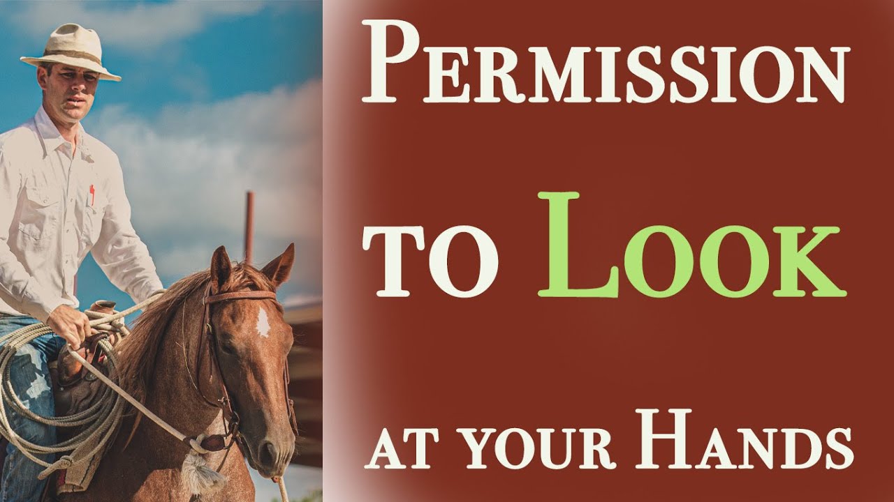 Permission to Look at Your Hands