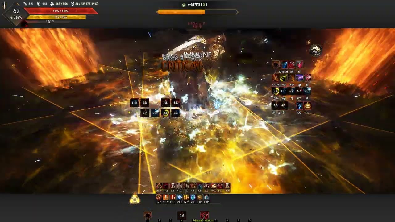 Succession Striker C10 Pig King 2:53 전승 격투가 금돼지왕 10재