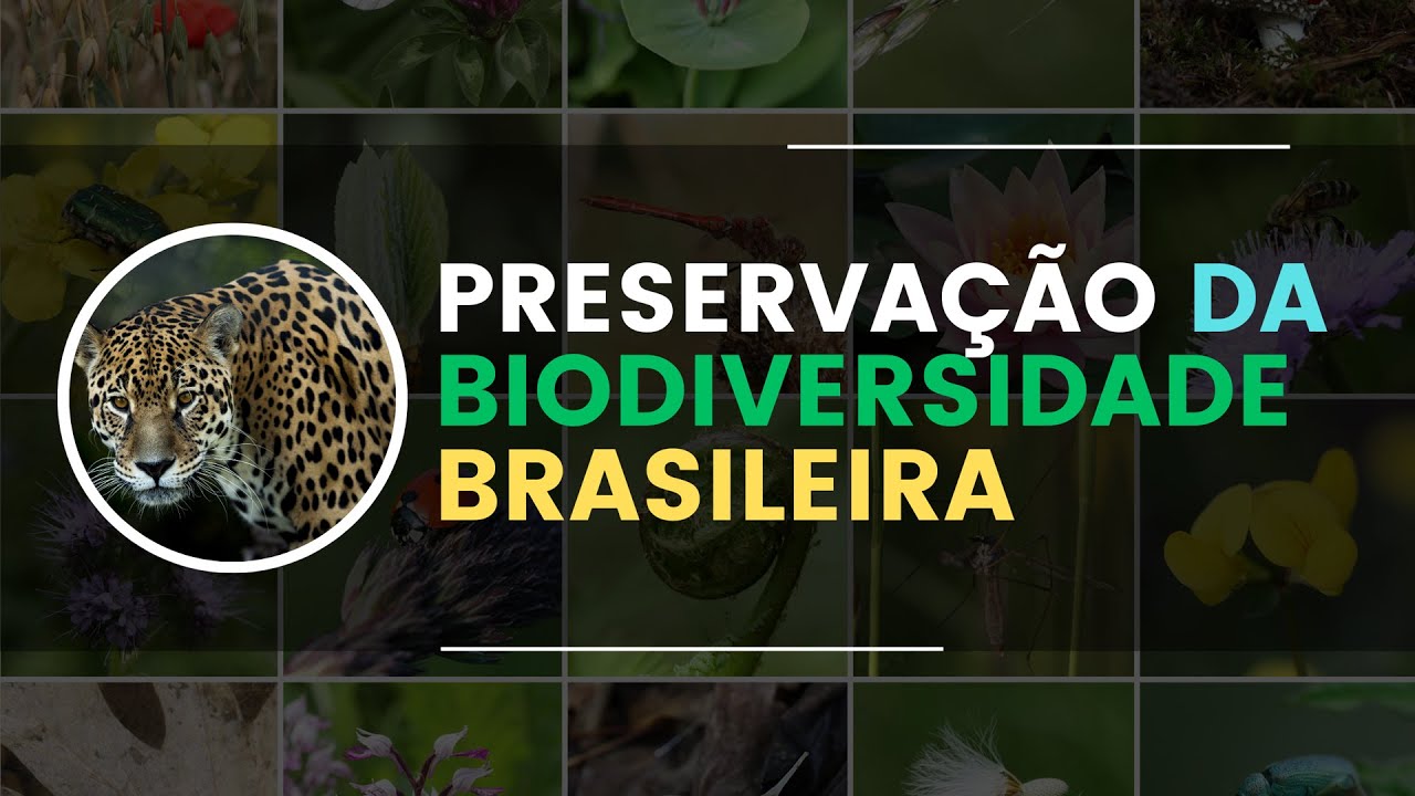Preserva&ccedil;&atilde;o e Conserva&ccedil;&atilde;o da biodiversidade brasileira.