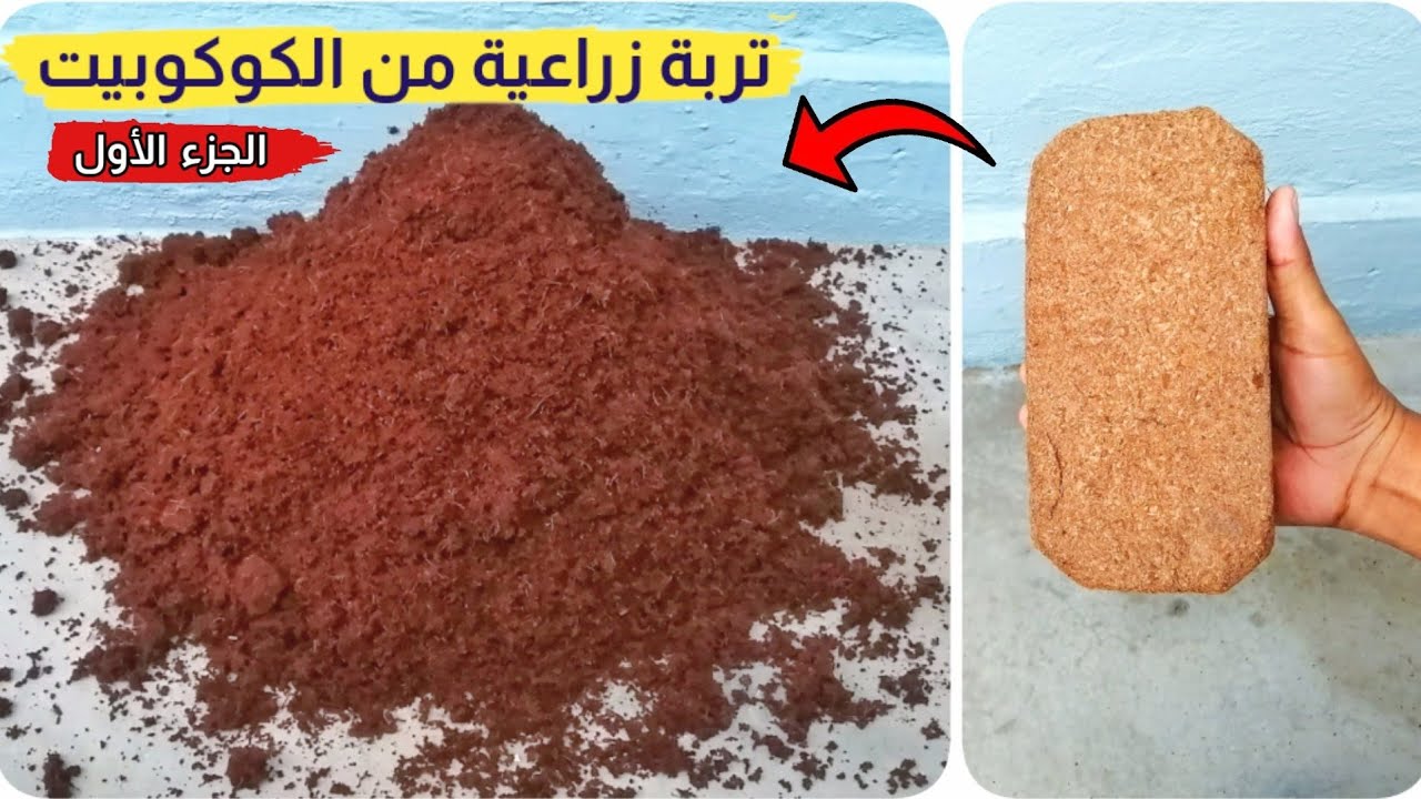 الكوكوبيت من افضل عناصر التربة الزراعية شاهد كيف حصلنا عليه