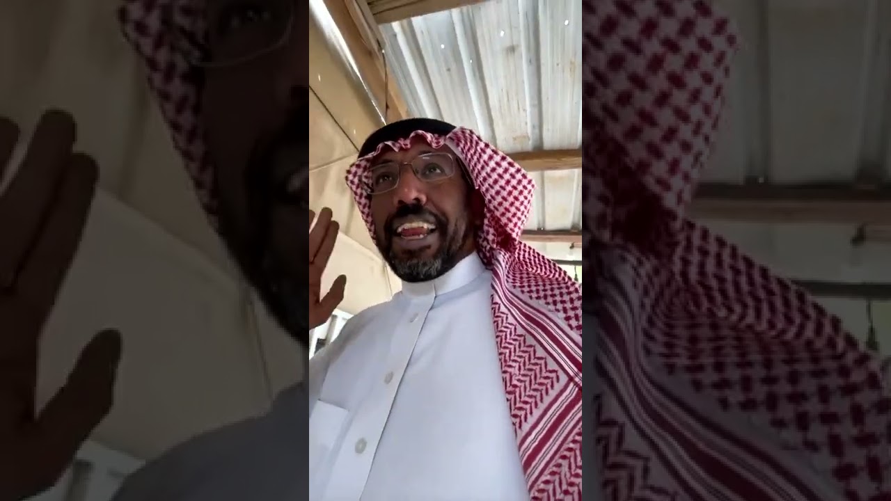 يوميات ابو عبدالله 56 صناديق الحمام