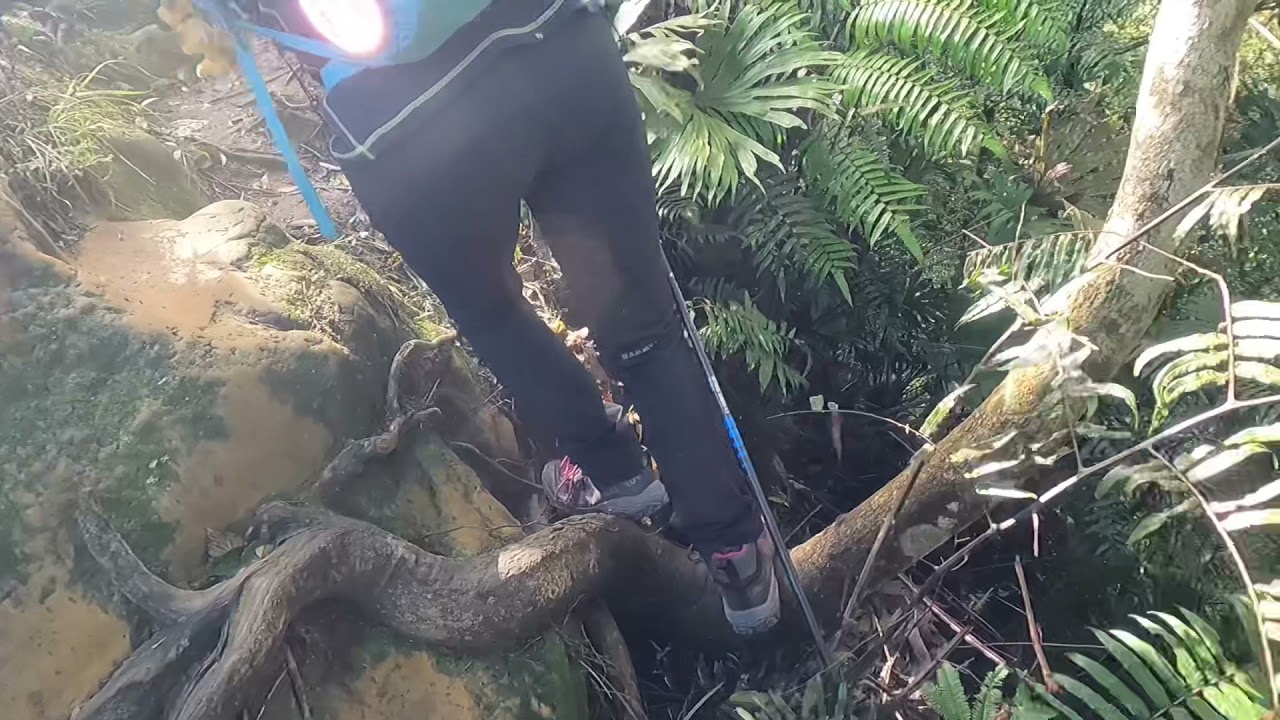 綠豆湯鞍部上筆架山，山頂擁有360度環景大視野！！