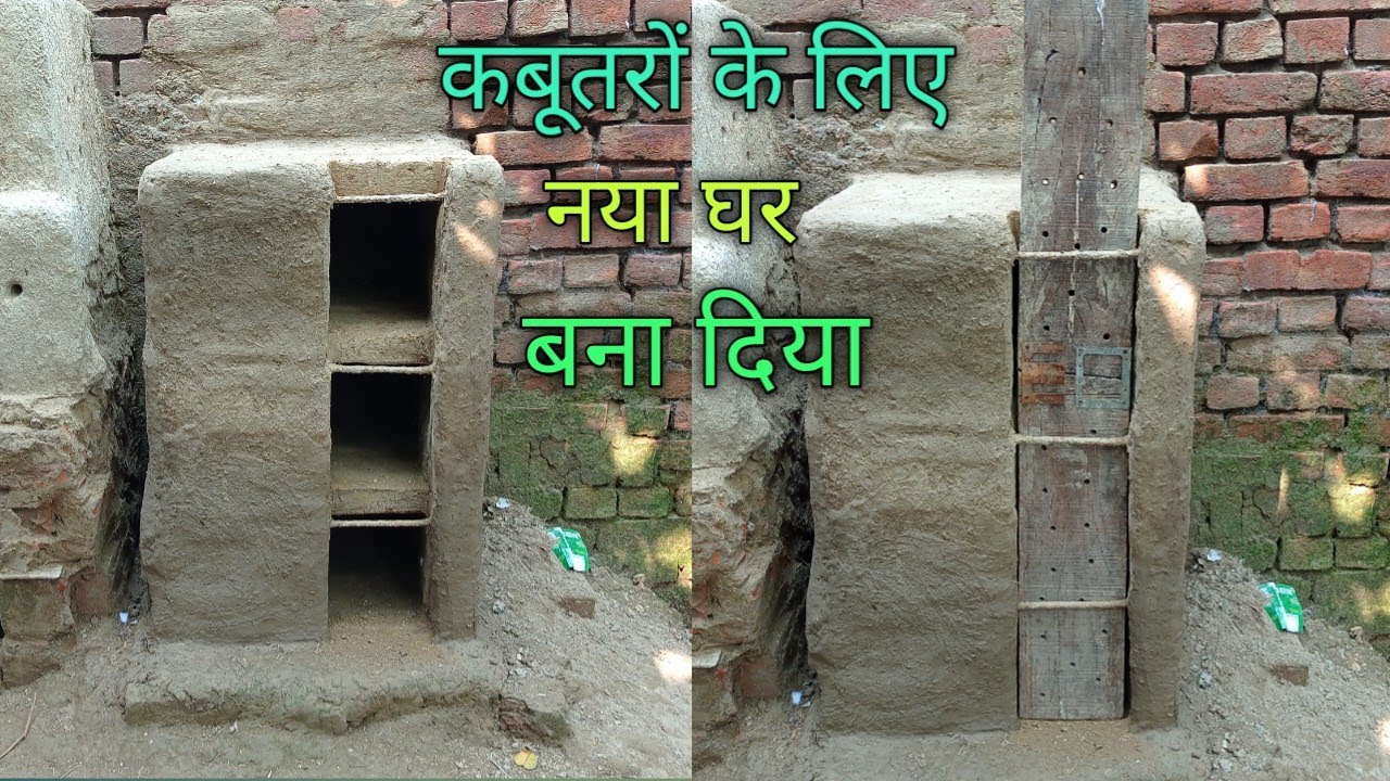 kabutaro ke liye naya Ghar bana diya.
