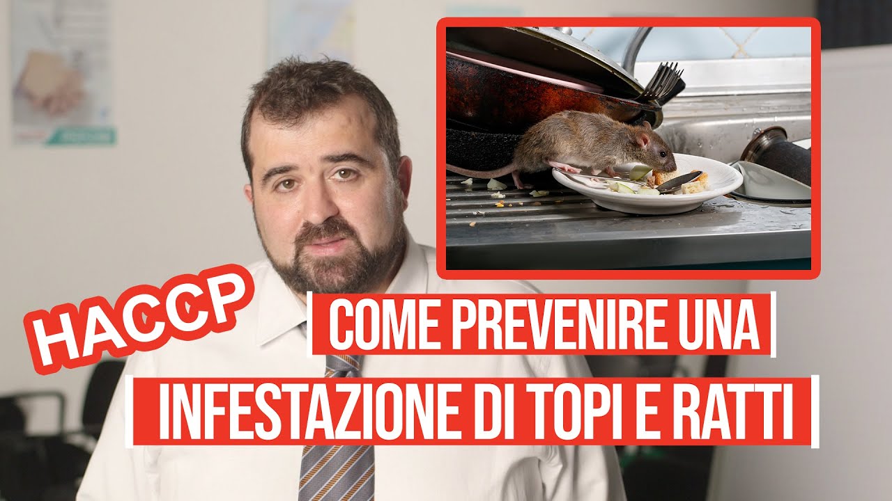 Come prevenire un'infestazione di topi e ratti?