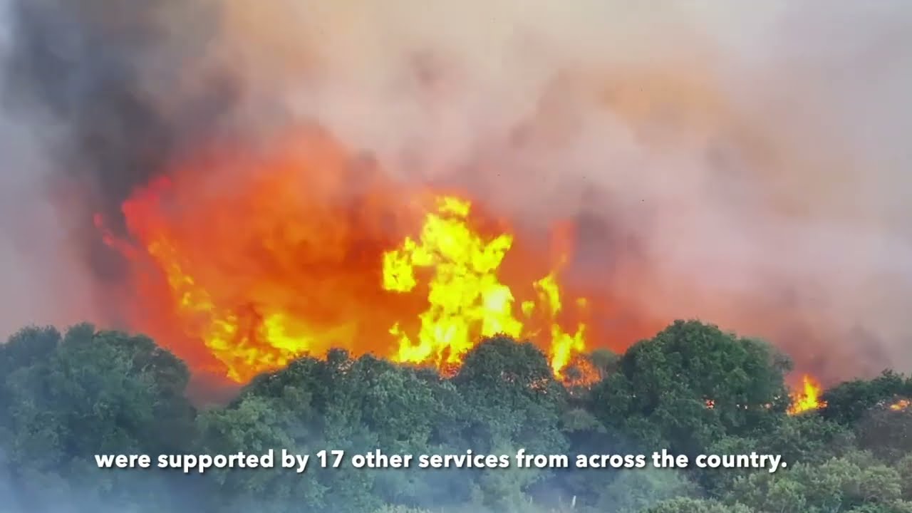 Holt Heath Fire