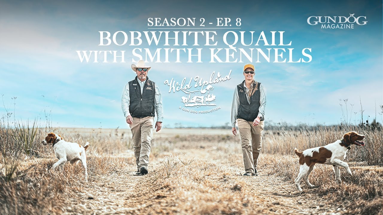 Bobwhite Quail with Smith Kennels - Wild Upland Season 2, Ep.  8