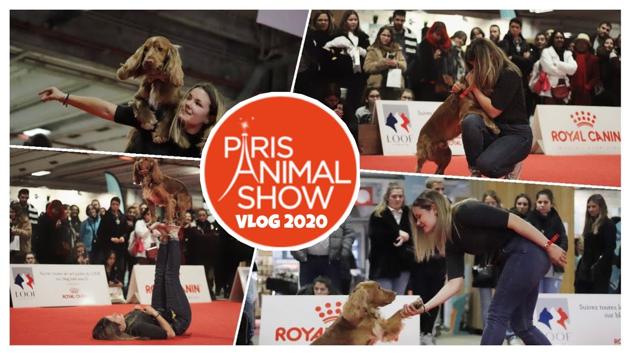 Paris Animal Show 2020 | VLOG