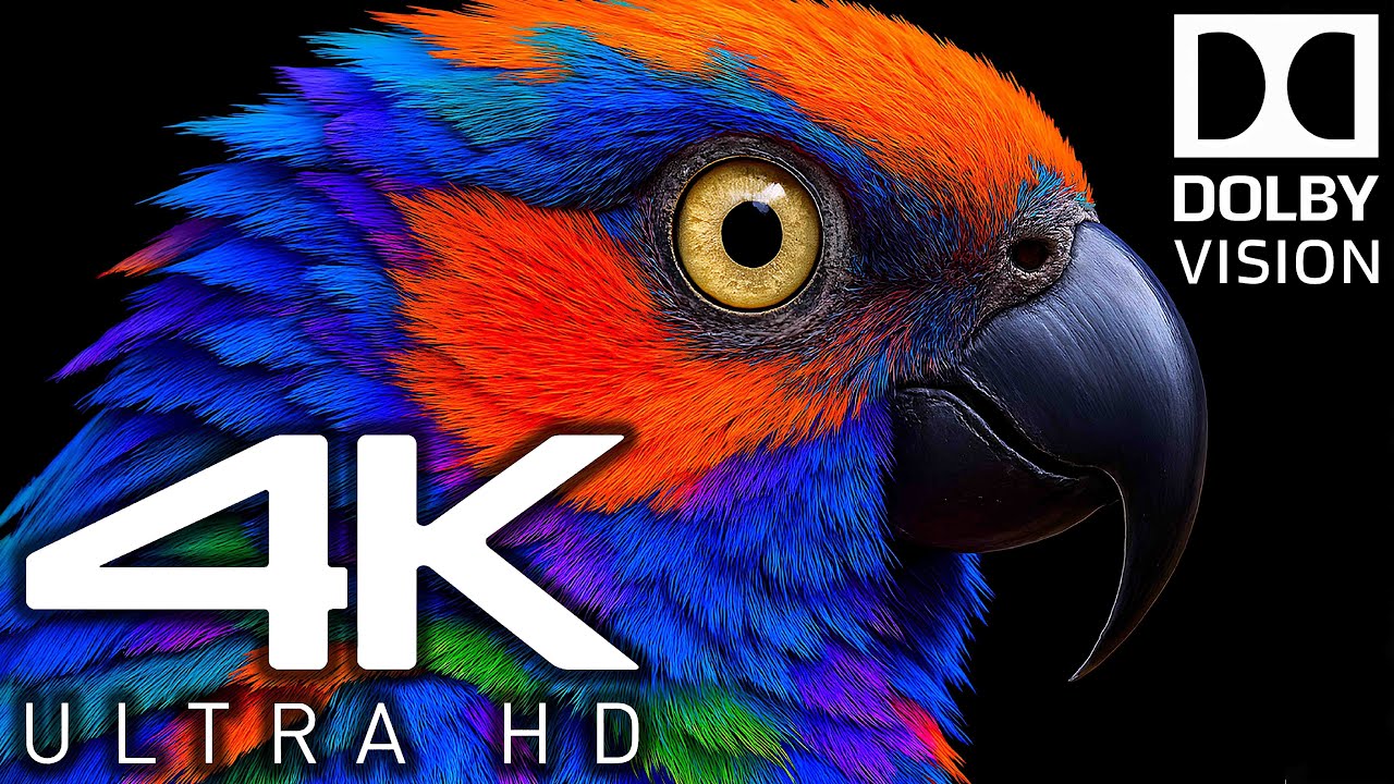 Peaceful Nature Animal Forests: 4K Video HDR Dolby Vision