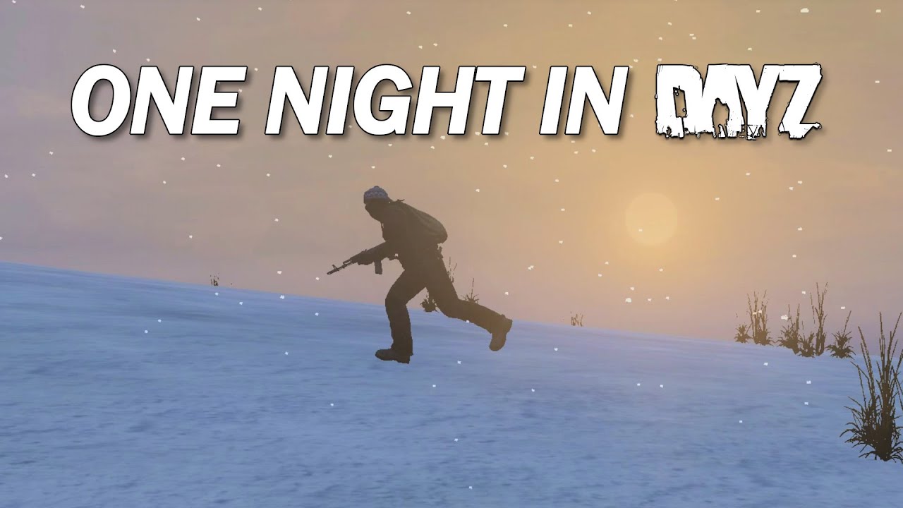 One Night in DayZ - Don't Go to Zelenogorsk